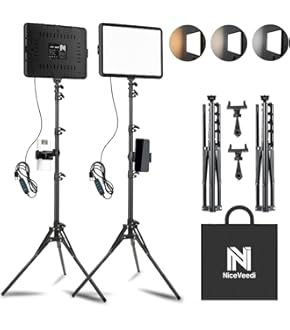 Amazon.co.jp: Hollyland「DGP Mobile 2024金賞」「晋遊舎家電